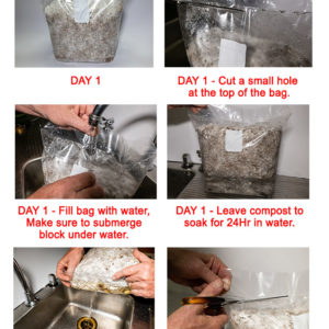 Oyster Mushroom Kit Growing Instructions